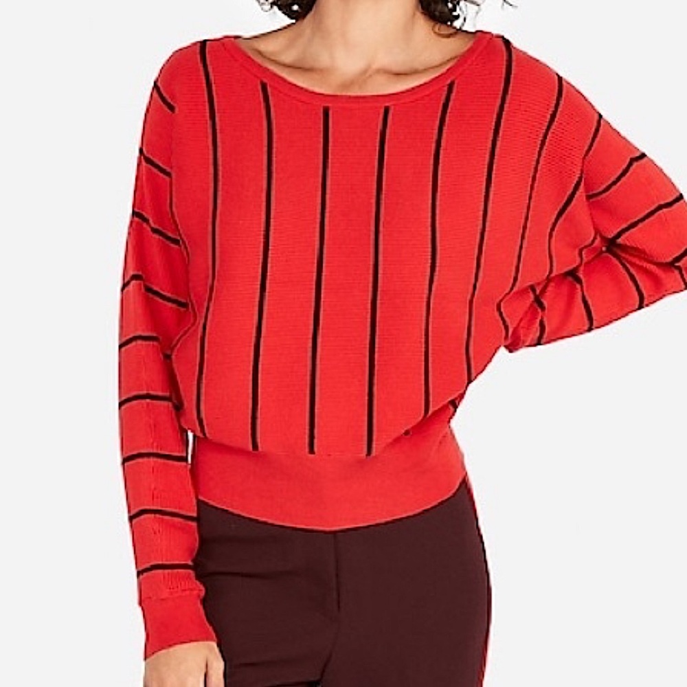Express striped dolman sleeve short sweater